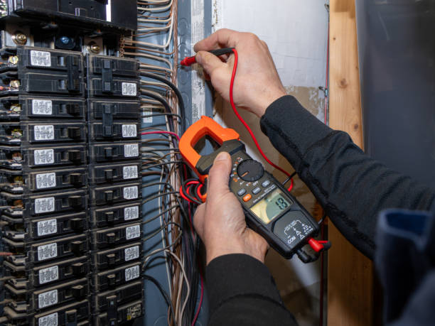 Best Electric Panel Repair  in Duncannon, PA
